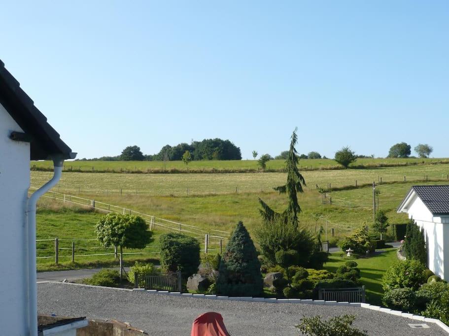 An Pferdehof In *